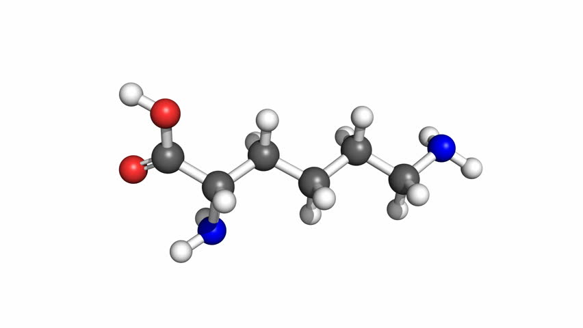 Лизин аминокислота. Лизин молекула. Лизин строение молекулы. Аргинин молекула.