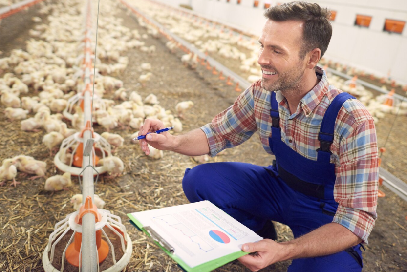 Как подготовить ферму к визиту проверяющих