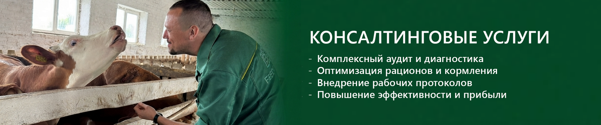 консалтинг